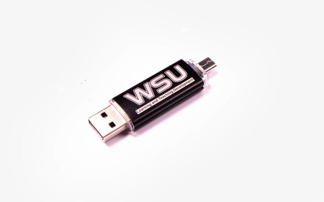 Mobile Phone USB Drive OTG2