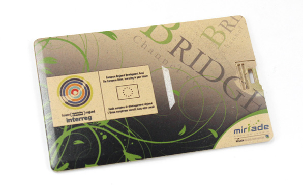 Wheat Straw Card USB Drive 1028 - Image 2